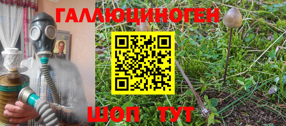 Зеленогорск  Галлюциногенные грибы мухоморы  Вход с VPN 