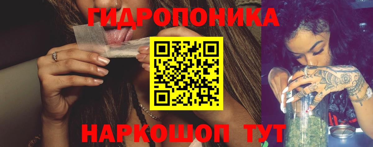 Зеленогорск  Марихуана конопля  Конопля SATIVA & INDICA  Марихуана Ganja  Вход с VPN 